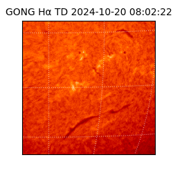 gong - 2024-10-20T08:02:22