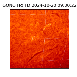 gong - 2024-10-20T09:00:22