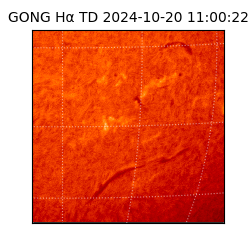 gong - 2024-10-20T11:00:22