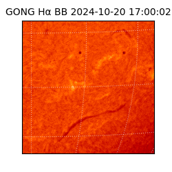 gong - 2024-10-20T17:00:02