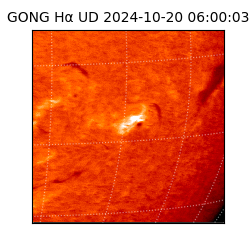 gong - 2024-10-20T06:00:03