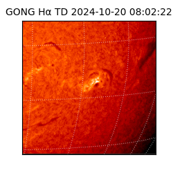 gong - 2024-10-20T08:02:22