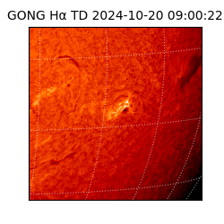 gong - 2024-10-20T09:00:22