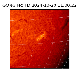 gong - 2024-10-20T11:00:22