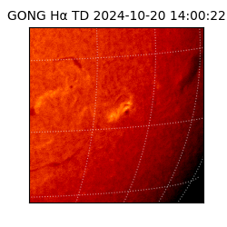 gong - 2024-10-20T14:00:22