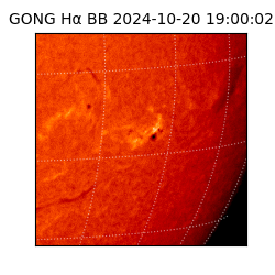 gong - 2024-10-20T19:00:02