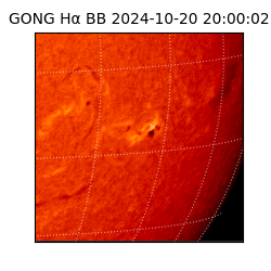 gong - 2024-10-20T20:00:02