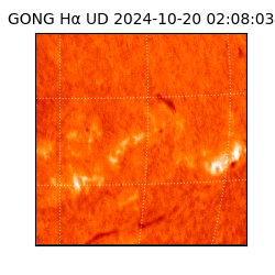 gong - 2024-10-20T02:08:03