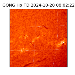 gong - 2024-10-20T08:02:22