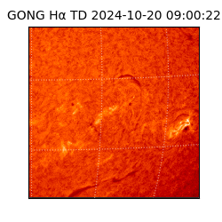 gong - 2024-10-20T09:00:22