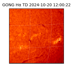 gong - 2024-10-20T12:00:22