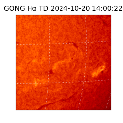 gong - 2024-10-20T14:00:22