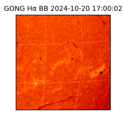 gong - 2024-10-20T17:00:02