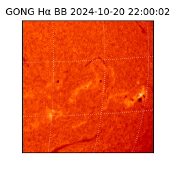 gong - 2024-10-20T22:00:02