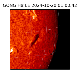 gong - 2024-10-20T01:00:42