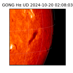 gong - 2024-10-20T02:08:03