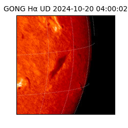 gong - 2024-10-20T04:00:02