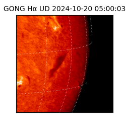 gong - 2024-10-20T05:00:03