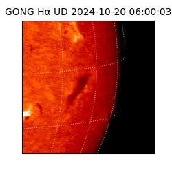 gong - 2024-10-20T06:00:03