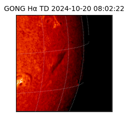 gong - 2024-10-20T08:02:22