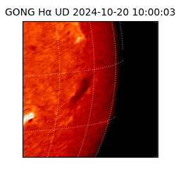 gong - 2024-10-20T10:00:03