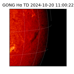 gong - 2024-10-20T11:00:22