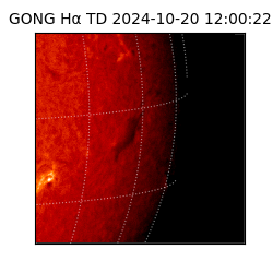 gong - 2024-10-20T12:00:22