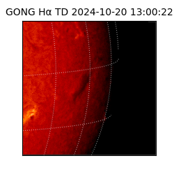 gong - 2024-10-20T13:00:22