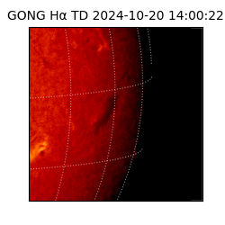 gong - 2024-10-20T14:00:22