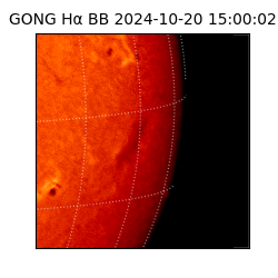 gong - 2024-10-20T15:00:02