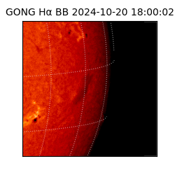 gong - 2024-10-20T18:00:02