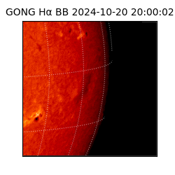 gong - 2024-10-20T20:00:02