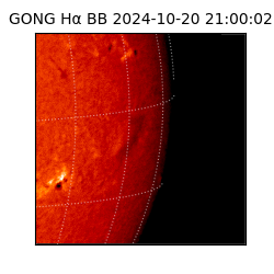 gong - 2024-10-20T21:00:02