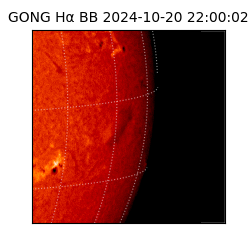 gong - 2024-10-20T22:00:02