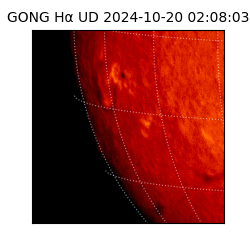 gong - 2024-10-20T02:08:03