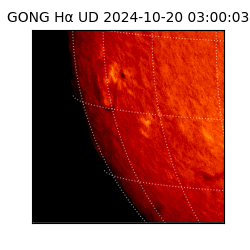 gong - 2024-10-20T03:00:03