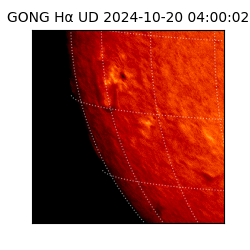 gong - 2024-10-20T04:00:02