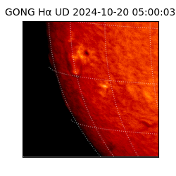 gong - 2024-10-20T05:00:03