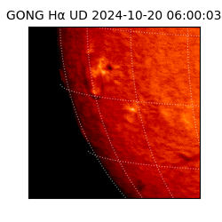 gong - 2024-10-20T06:00:03