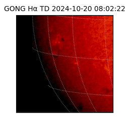 gong - 2024-10-20T08:02:22