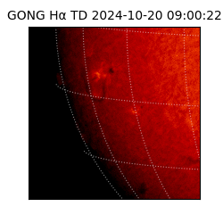 gong - 2024-10-20T09:00:22