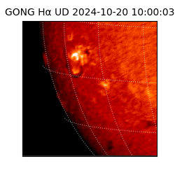 gong - 2024-10-20T10:00:03