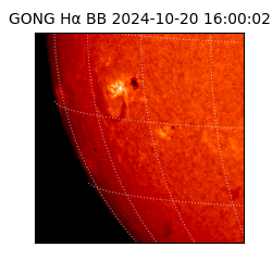 gong - 2024-10-20T16:00:02