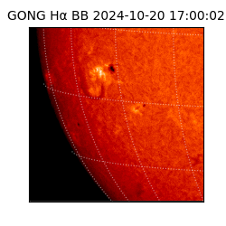 gong - 2024-10-20T17:00:02