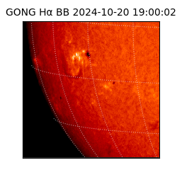 gong - 2024-10-20T19:00:02