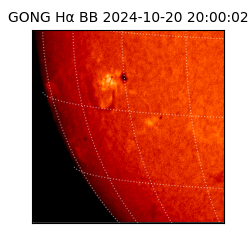 gong - 2024-10-20T20:00:02