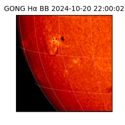 gong - 2024-10-20T22:00:02