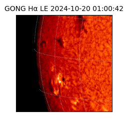 gong - 2024-10-20T01:00:42