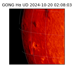 gong - 2024-10-20T02:08:03