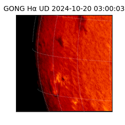 gong - 2024-10-20T03:00:03